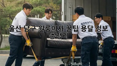 울산 남구 원룸이사 꿀팁🍯 용달 정보 총정리!
